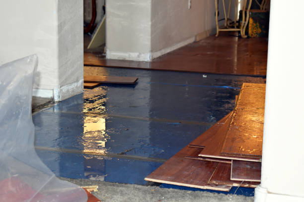 Professional Burst Pipe Cleanup technician working in Elm Mott, TX